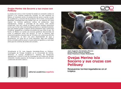 Ovejas Merino Isla Socorro y sus cruzas con Pelibuey