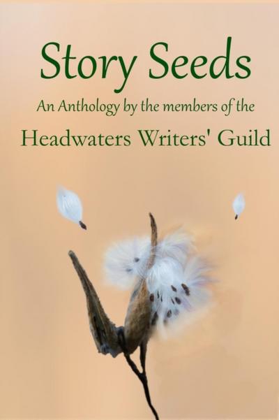 Story Seeds