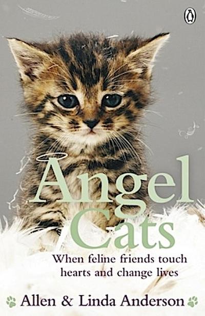 Angel Cats