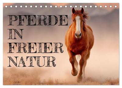 Pferde in freier Natur (Tischkalender 2026 DIN A5 quer), CALVENDO Monatskalender