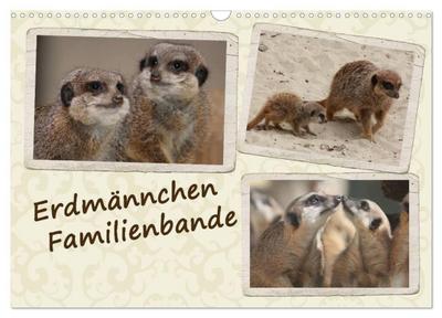 Erdmännchen Familienbande (Wandkalender 2026 DIN A3 quer), CALVENDO Monatskalender