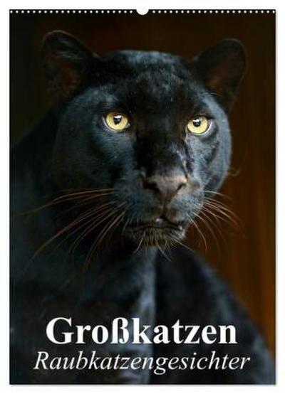 Großkatzen. Raubkatzengesichter (Wandkalender 2026 DIN A2 hoch), CALVENDO Monatskalender