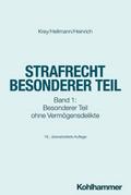 Strafrecht Besonderer Teil