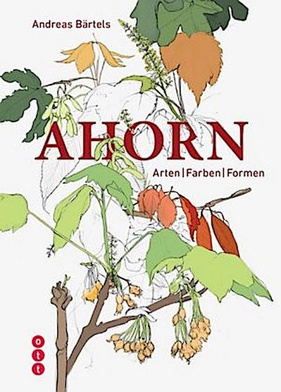 Ahorn