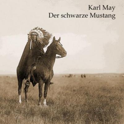 Der schwarze Mustang, Audio-CD, MP3