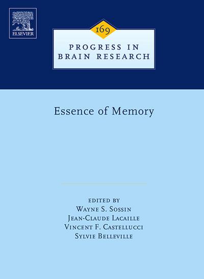 Essence of Memory