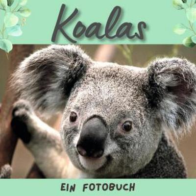 Der Koala