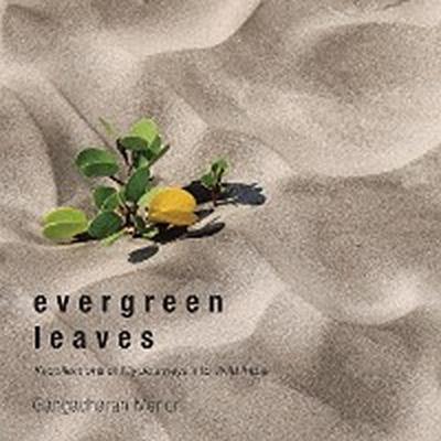 Evergreen Leaves