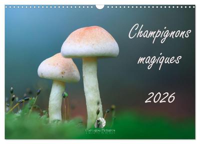 Champignons magiques (Calendrier mural 2026 DIN A3 vertical), CALVENDO calendrier mensuel