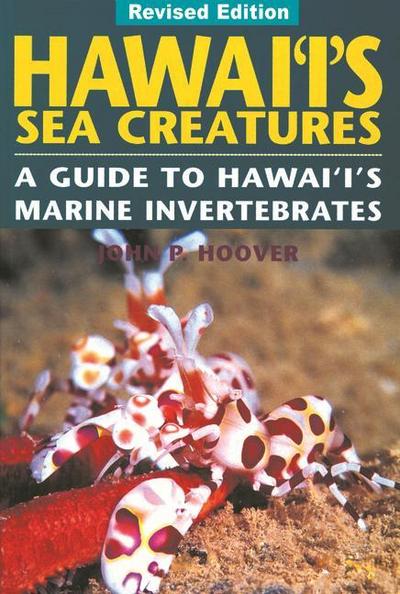 Hawaii’s Sea Creatures