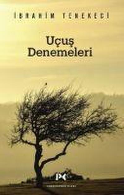Ucus Denemeleri