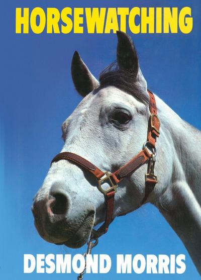 Horsewatching