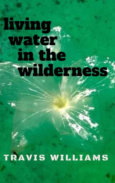 Living Water In The WIlderness