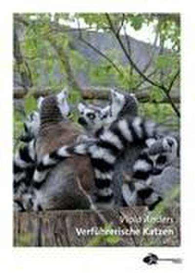 Anders, V: Verführerische Katzen