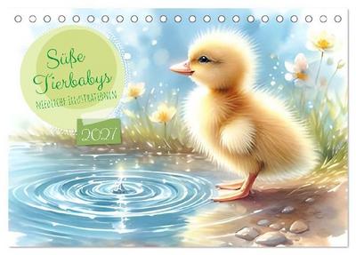 Süße Tierbabys - niedliche Illustrationen (Tischkalender 2027 DIN A5 quer), CALVENDO Monatskalender