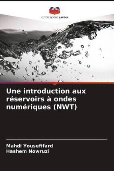 Une introduction aux réservoirs à ondes numériques (NWT)
