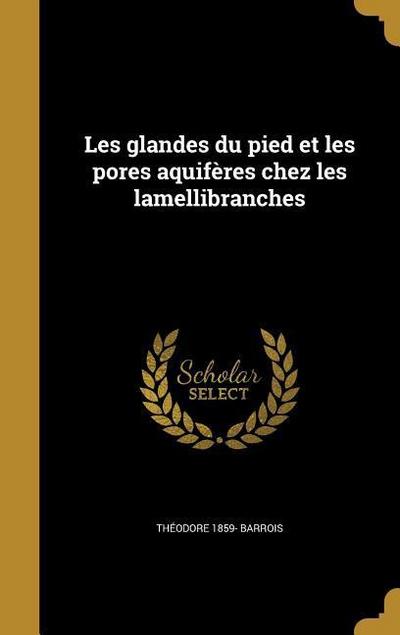 Les glandes du pied et les pores aquifères chez les lamellibranches