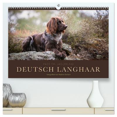 Passion Jagdhund - Deutsch Langhaar (hochwertiger Premium Wandkalender 2024 DIN A2 quer), Kunstdruck in Hochglanz