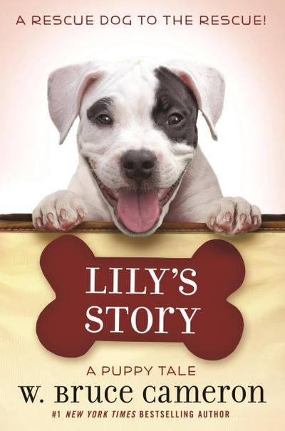 Lily’s Story