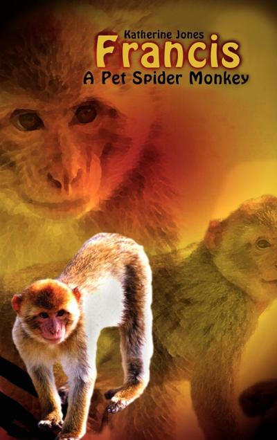 Francis, A Pet Spider Monkey