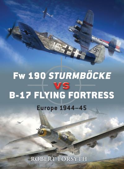 FW 190 Sturmböcke Vs B-17 Flying Fortress