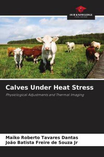 Calves Under Heat Stress