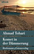 Komet in der Dämmerung