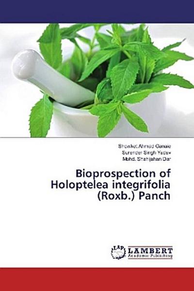Bioprospection of Holoptelea integrifolia (Roxb.) Panch