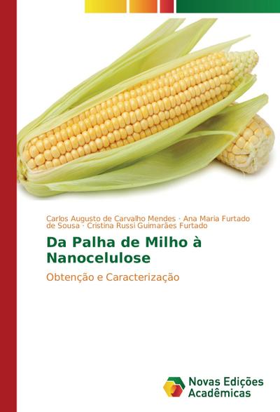 Da Palha de Milho à Nanocelulose