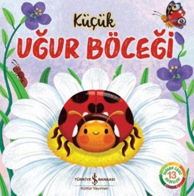 Kücük Ugur Böcegi