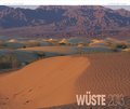 Wüste 2013 - Baback Haschemi