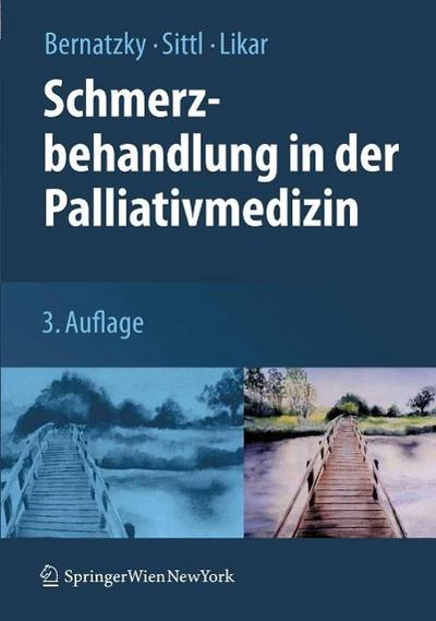 Schmerzbehandlung in der Palliativmedizin