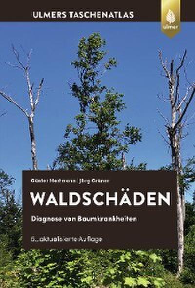 Waldschäden