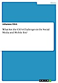 What Are the CIO’s Challenges in the Social Media and Mobile Era?