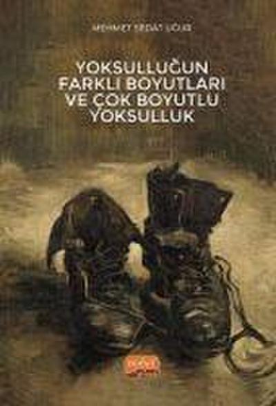 Yoksullugun Farkli Boyutlari ve Cok Boyutlu Yoksulluk