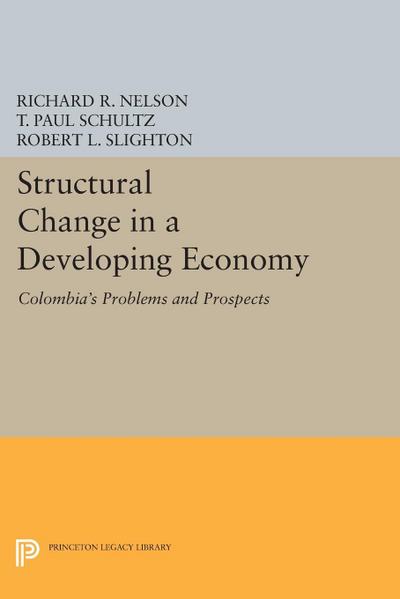 Structural Change in a Developing Economy