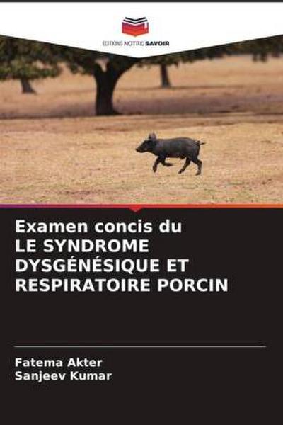 Examen concis du LE SYNDROME DYSGÉNÉSIQUE ET RESPIRATOIRE PORCIN