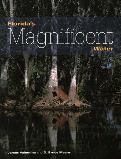 Florida’s Magnificent Water