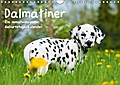 Dalmatiner - Ein immerwährender Geburtstags-Kalend
