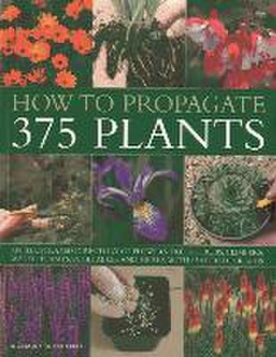 How to Propagate 375 Plants: An Illustrated Directory of Flowers, Trees, Shrubs, Climbers, Water Plants, Vegetables and Herbs, with 650 Photographs