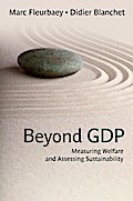 Beyond GDP