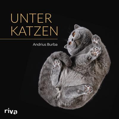 Unter Katzen 