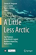 A Little Less Arctic