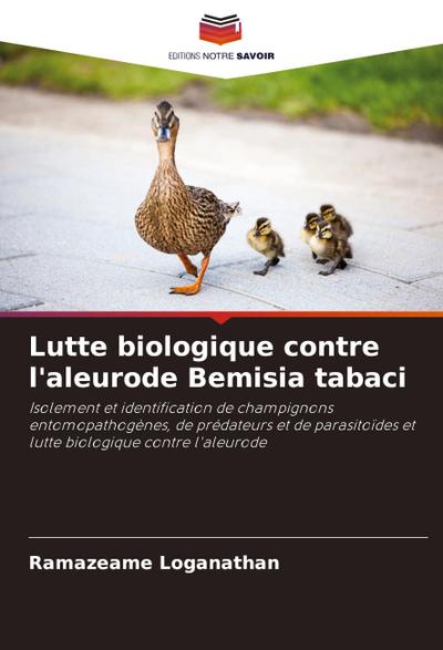 Lutte biologique contre l’aleurode Bemisia tabaci