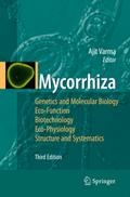 Mycorrhiza
