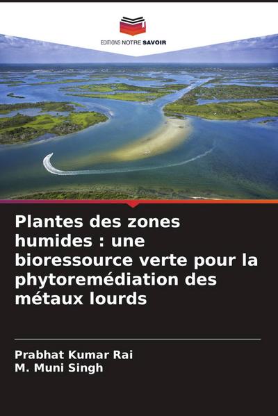 Plantes des zones humides : une bioressource verte pour la phytoremédiation des métaux lourds