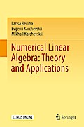 Numerical Linear Algebra: Theory and Applications