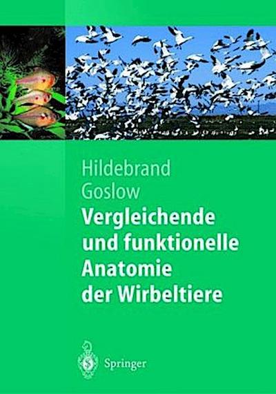 Vergleichende und funktionelle Anatomie der Wirbeltiere