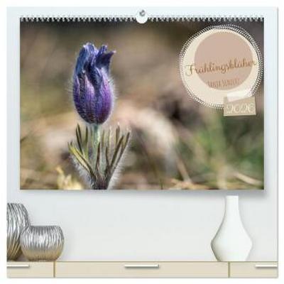 Frühlingsblüher - Farbenpracht nach dem Winter (hochwertiger Premium Wandkalender 2026 DIN A2 quer), Kunstdruck in Hochglanz