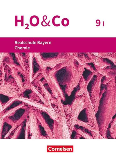 H2O & Co 9. Schuljahr - Wahlpflichtfächergruppe I - Realschule Bayern - Schülerbuch